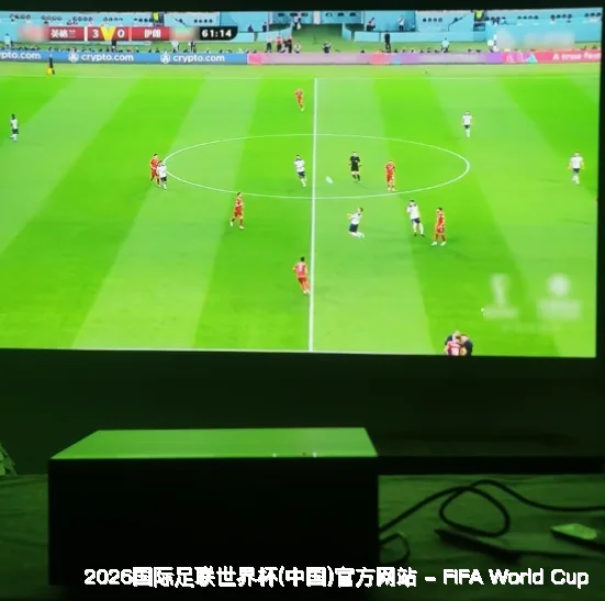 历史命中率展示